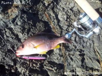 ���֥���