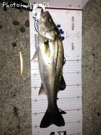 �����Х�