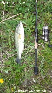 ¥Ö¥é¥Ã¥¯¥Ð¥¹