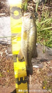 ¥Ö¥é¥Ã¥¯¥Ð¥¹