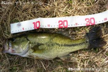 ¥Ö¥é¥Ã¥¯¥Ð¥¹