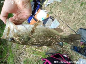 ¥é¡¼¥¸¥Þ¥¦¥¹¥Ð¥¹