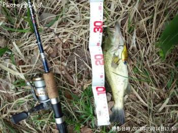 �顼���ޥ����Х�