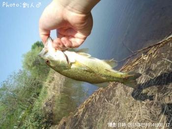 ¥é¡¼¥¸¥Þ¥¦¥¹¥Ð¥¹