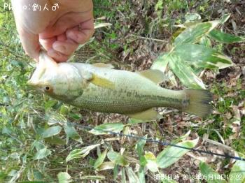 �顼���ޥ����Х�