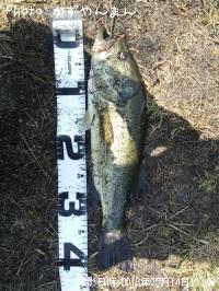 �֥�å��Х�