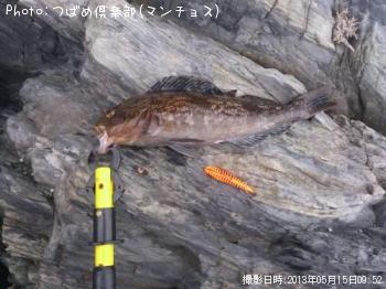 �����ʥ�