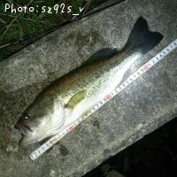 �֥�å��Х�