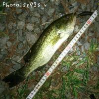 �֥�å��Х�