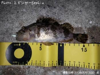 ¥¿¥±¥Î¥³¥á¥Ð¥ë