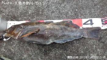 �����ʥ�