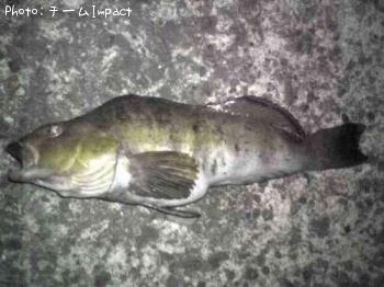 �����ʥ�