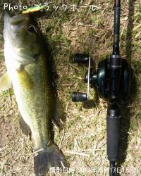 �֥�å��Х�