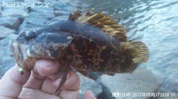 ¥¿¥±¥Î¥³¥á¥Ð¥ë