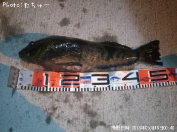 �����ʥ�