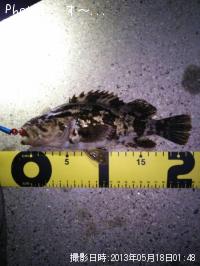 �����Υ���Х�