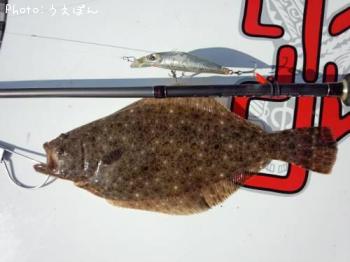 �ҥ��