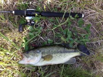 �֥�å��Х�