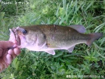 ¥Ö¥é¥Ã¥¯¥Ð¥¹