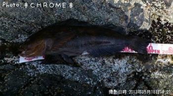 �����ʥ�