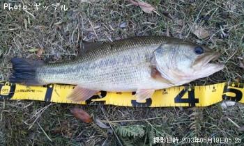 �֥�å��Х�