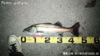 �����Х�