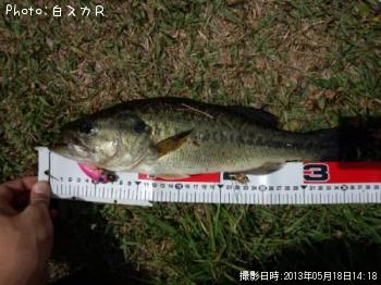 �顼���ޥ����Х�