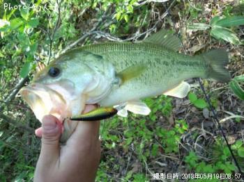 �顼���ޥ����Х�