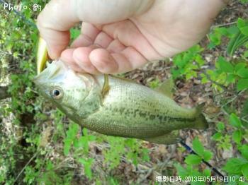 ¥é¡¼¥¸¥Þ¥¦¥¹¥Ð¥¹