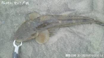 �ޥ���
