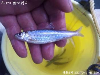 ¥¹¥´¥â¥í¥³