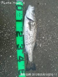 �����Х��ʥեå���