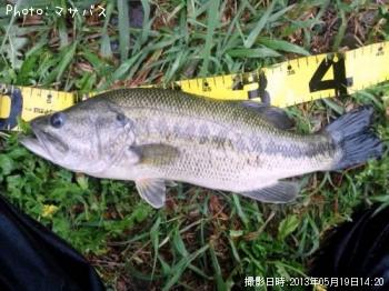 �֥�å��Х�