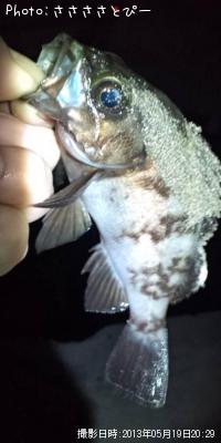 ��Х�������Х�