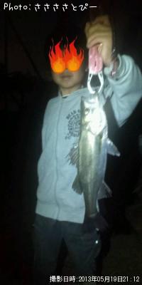 ��Х�������Х�