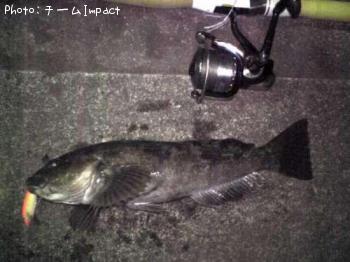 �����ʥ�