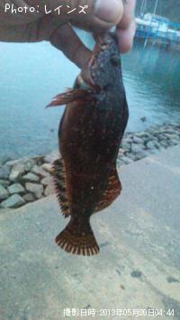 ¥¿¥±¥Î¥³¡õ¥«¥µ¥´¡õ¥¢¥¤¥Ê¥á