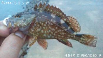 ¥¿¥±¥Î¥³¡õ¥«¥µ¥´¡õ¥¢¥¤¥Ê¥á