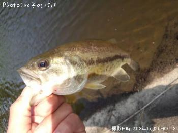 ¥Ö¥é¥Ã¥¯¥Ð¥¹