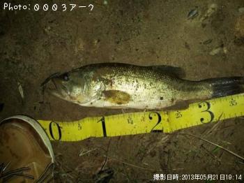 ¥Ö¥é¥Ã¥¯¥Ð¥¹