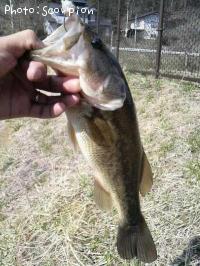 �֥�å��Х�