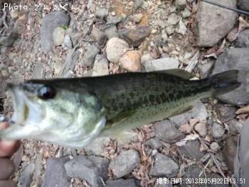 �֥�å��Х�