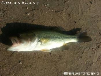 ¥Ö¥é¥Ã¥¯¥Ð¥¹