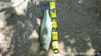 ¥Ö¥é¥Ã¥¯¥Ð¥¹