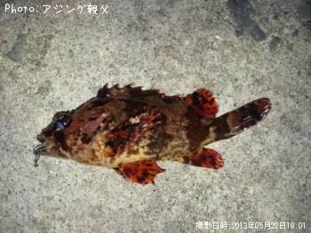 �������Х�