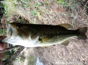 �֥�å��Х�