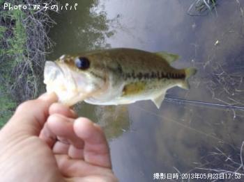 �֥�å��Х�