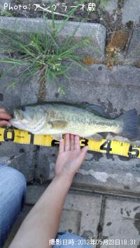 �֥�å��Х�