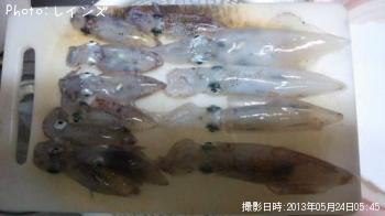 ��ꥤ�����ҥ���