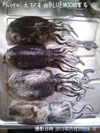 ¥·¥ê¥ä¥±¡¦¥«¥ß¥Ê¥ê